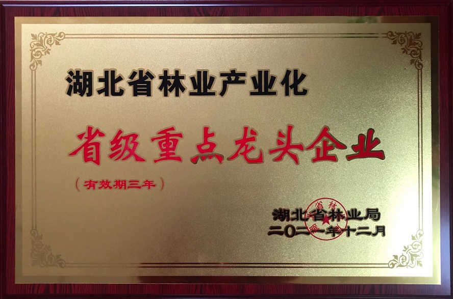 林業(yè)產(chǎn)業(yè)化重點龍頭企業(yè)