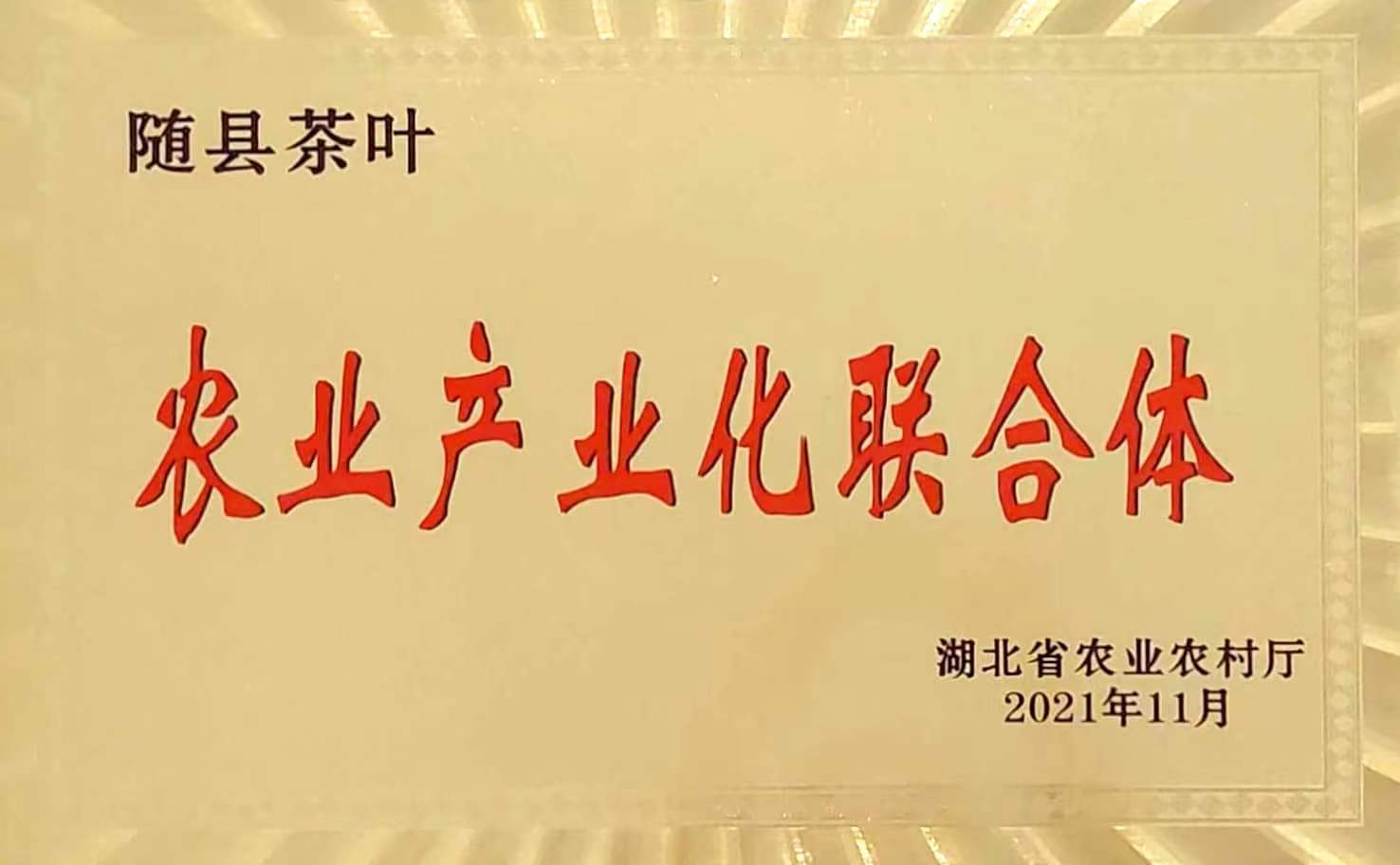 農(nóng)業(yè)產(chǎn)業(yè)化聯(lián)合體.jpg 農(nóng)業(yè)產(chǎn)業(yè)化聯(lián)合體.jpg