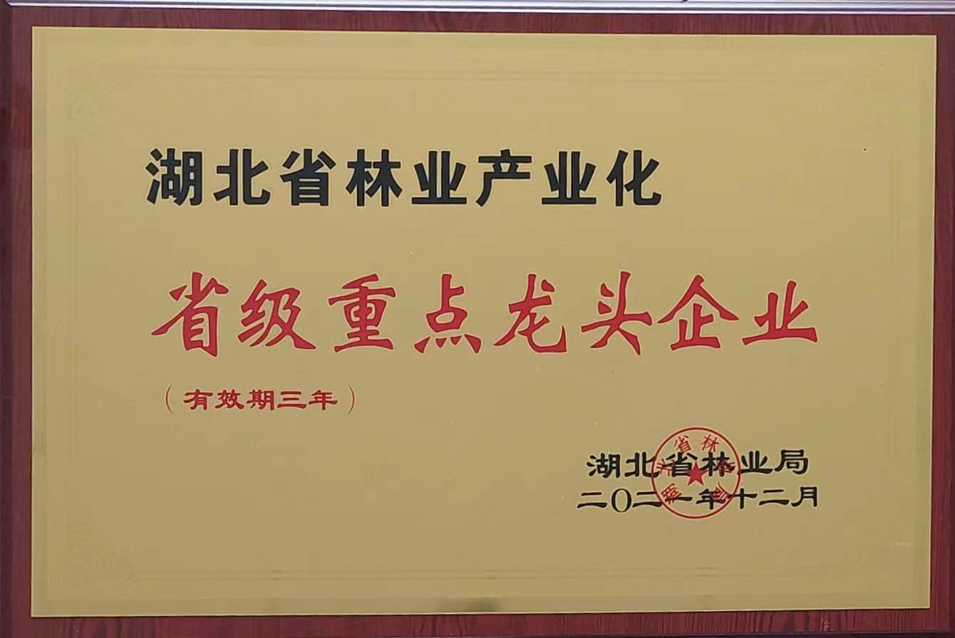 省林業(yè)產(chǎn)業(yè)化重點龍頭企業(yè)(2021.12).jpg 省林業(yè)產(chǎn)業(yè)化重點龍頭企業(yè)(2021.12).jpg